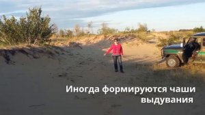 Цимлянские пески, возможность облесения