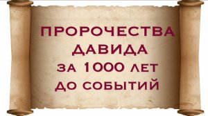 Пророчества Давида за 1000 лет до событий - мой маленький влог. Элин Дворик