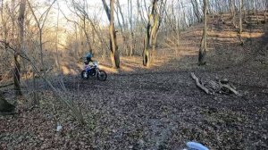 SURRON ULTRA BEE и KTM SXF 250 разрыхляют почву. Эндуро тренировка