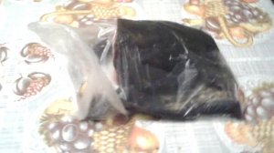 Отрезанная голова сома дышит