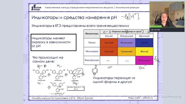Химия ЕГЭ Качественные методы определения неорганических веществ.1 Elitum смотреть онлайн