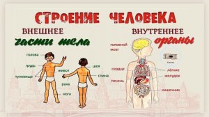 乌拉俄语2 | 11.1 СИМПТОМЫ（病状）