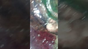 обзор стеклянных и фарфоровых изоляторов нс и тф
