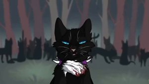 НЕВИДИМАЯ  ЦЕПЬ///СВЯЗЬ  ОГНЕЗВЁЗДА  И   ЗВЕЗДОЦАПА///ТЕОРИЯ  КОТЫ  ВОИТЕЛИ///CATS– WARRIORS  THEOR