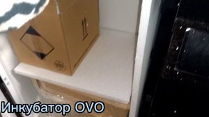 НОВЫЙ ИНКУБАТОР на 400 яйц OVO , БУДЕМ ПРОБОВАТЬ