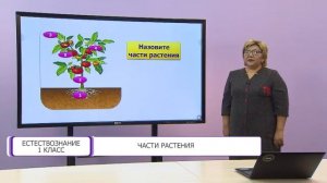 Естествознание. 1 класс. Части растения /25.09.2020/