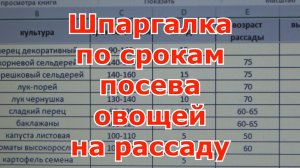 Когда сеять семена овощей на рассаду. Моя шпаргалка (таблица) по всем овощам с конкретными сроками.