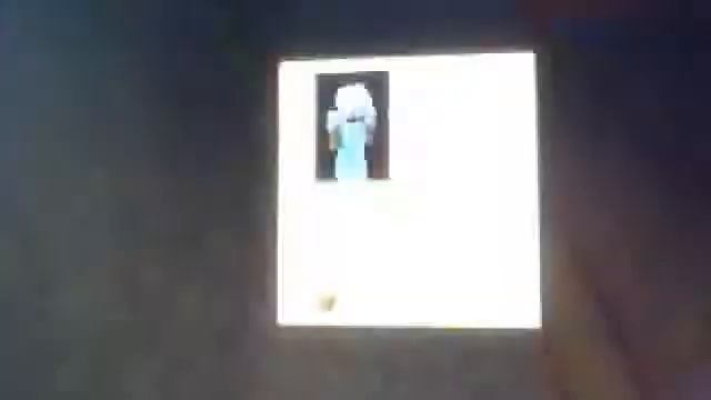 деревья,стекло,ромашка,дерево. смотреть онлайн