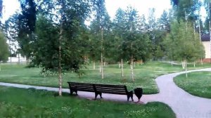 Парк в Мокшино