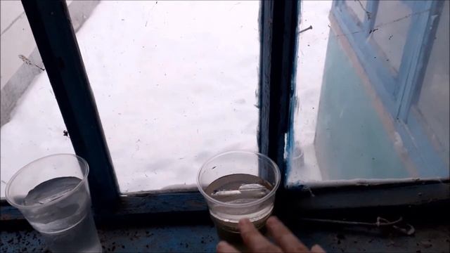Как проверить работает ли противоморозная добавка.