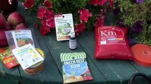 Обработка сада в сентябре