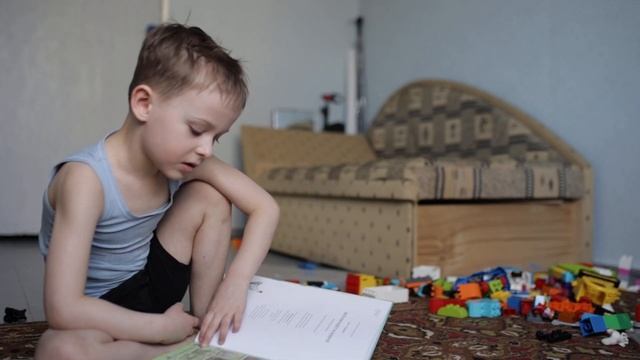 Обзор книг про Петсона и Финдуса смотреть онлайн