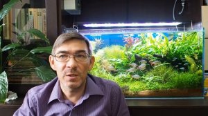 Основные показатели воды в аквариуме и подготовка воды для растительного аквариума