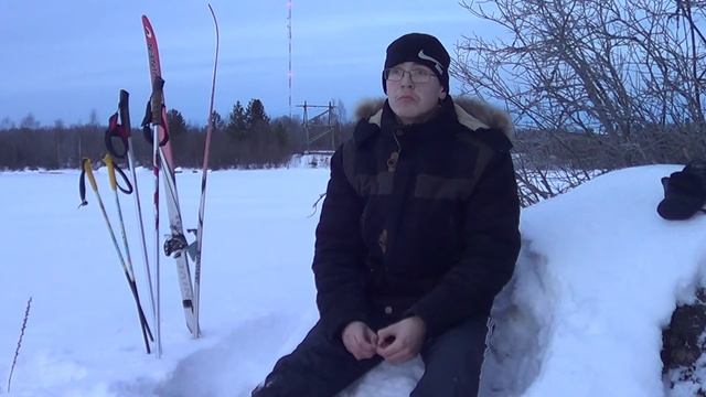 всё про мотособаку