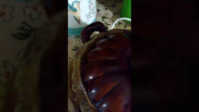Зажаристые рёбрышки с квашеной капустой