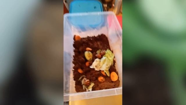 улитята подросли смотреть онлайн