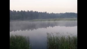 Алексей Маклаков - Сломаная ветка.