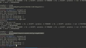 быстрый способ установки Wireguard сервера на Linux