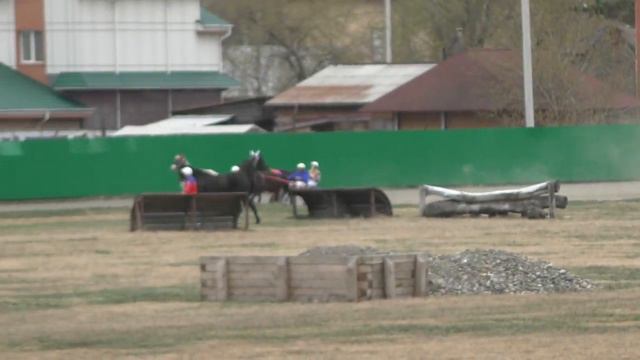 Приз Весенний  Для лошадей орловской рысистой породы старшего возраста, 1600 м смотреть онлайн