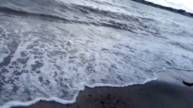 Мы нашли морские ракушки с улитками смотреть онлайн