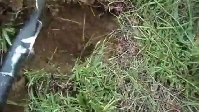 Травянка! смотреть онлайн