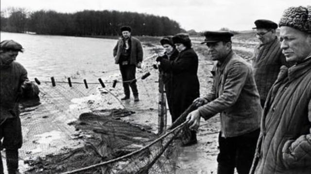 край михаила шолохова