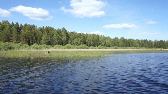 озеро РАЗЛИВ Окуловский район смотреть онлайн