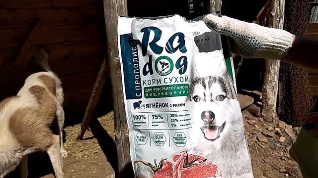 Пчелиные витамины питомцам и семье Сухой корм для собак смотреть онлайн