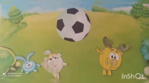 Цикл познавательных историй. Мультфильм "Спортивные истории Смешариков"