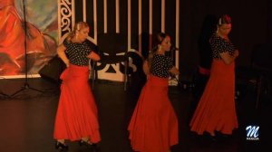 Día Internacional del Flamenco en el Civima