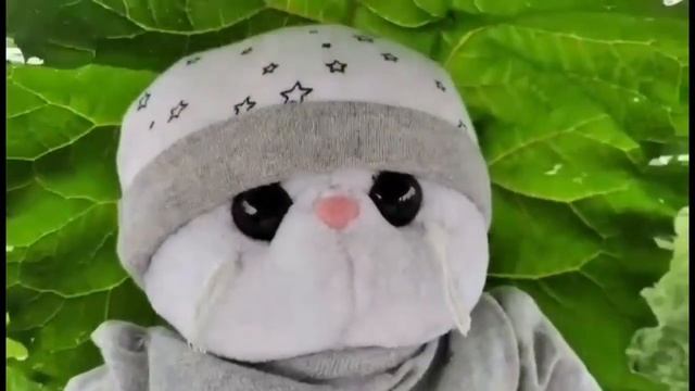 ?Влог с басиками : что растёт на даче , шалаш из лопуха? смотреть онлайн