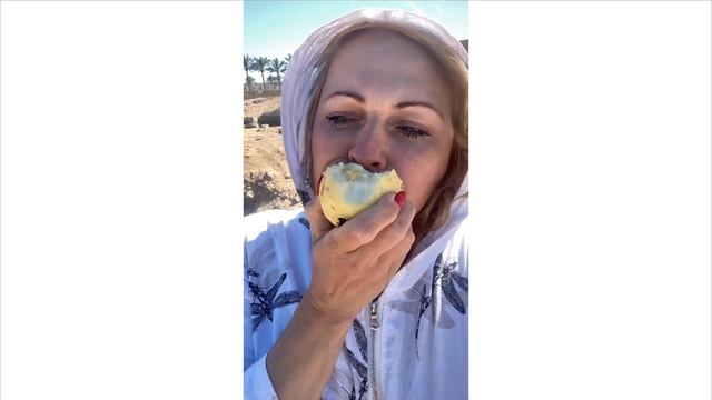 Обычный день в Хургаде.Пляжи Хургады.Купаюсь в феврале . смотреть онлайн