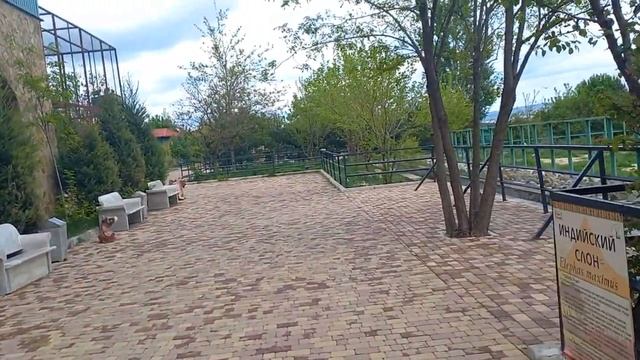 Слоны в Тайгане. май 2023г. смотреть онлайн