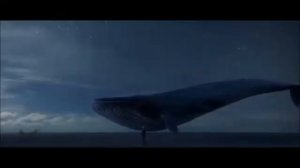 Летающий Кит- исполнение на Ханге