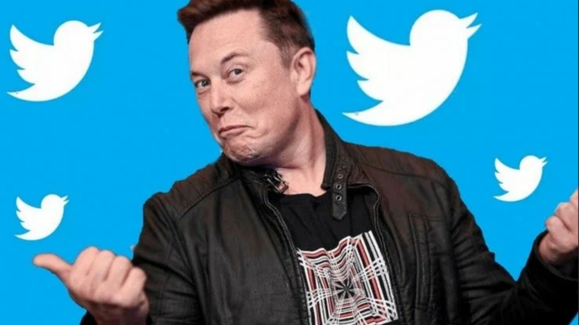 Twitter musk account