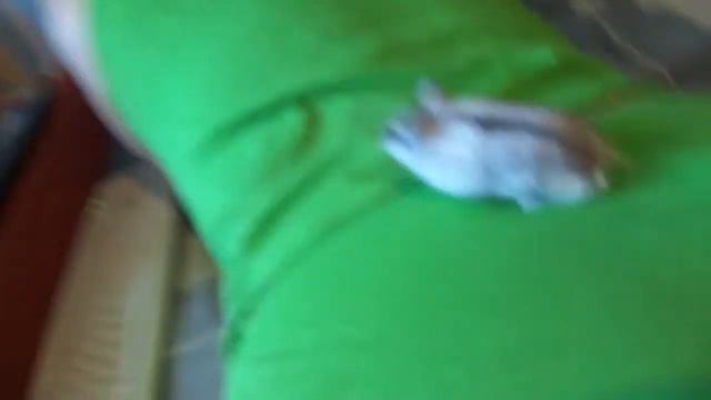 Тоннель любви смотреть онлайн