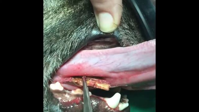 Последствия игр с палками смотреть онлайн