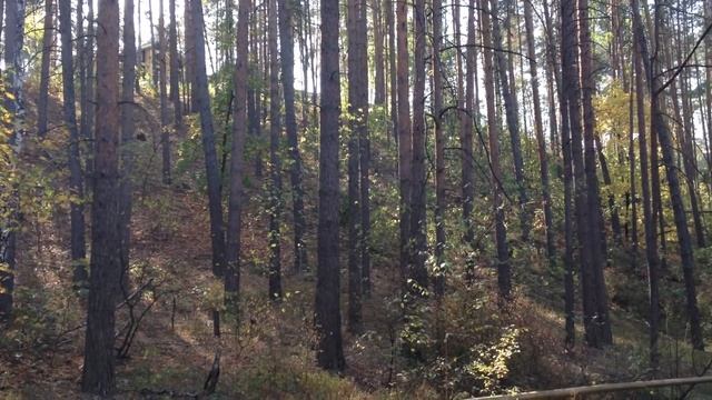 Турбаза Сказка, Самарская область смотреть онлайн