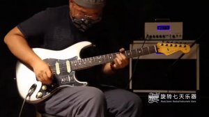 Fender American Professional II Stratocaster 011-3900-755 | No Talking