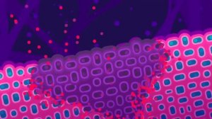 Коронавирус