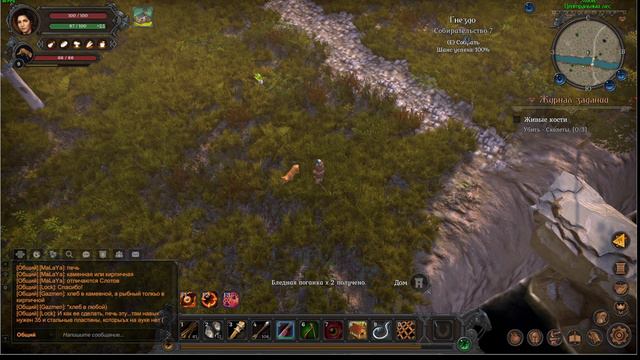 Wild Terra 2 New Lands Ч10 побил чутка скелетов