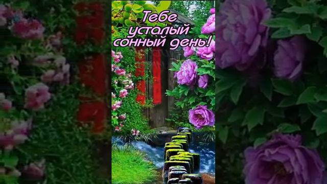 ✩ 🎀 Хорошего вечера, очень красивое видео 🎀 ✩  #открытки #спокойнойночи #открытка#вечерняяатмосфер