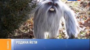 Окончание программы "Мнение" и заставка "События" (Россия-24, 26.11.2012)