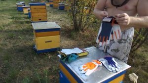 ПЕРЧАТКИ ДЛЯ ПЧЕЛОВОДОВ Gloves for beekeepers