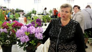 Рододендрон: выбор места, посадка, уход