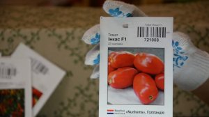 Томат Инкас F1