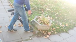 Воздуходувка-пылесос Ryobi RBV 3000 CESV