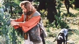 Копия видео "Жизнь и Удивительные Приключения Робинзона Крузо 1972 1"
