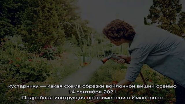 Как организовать полив огорода своими руками?