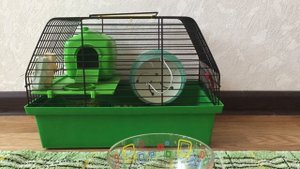 Что делать если протекает поилка на клетке??